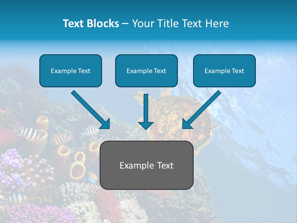 Coral Tropical Holiday PowerPoint Template