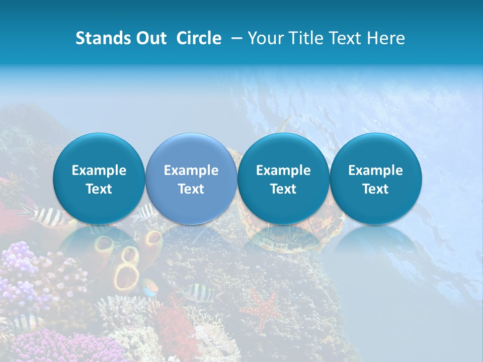 Coral Tropical Holiday PowerPoint Template