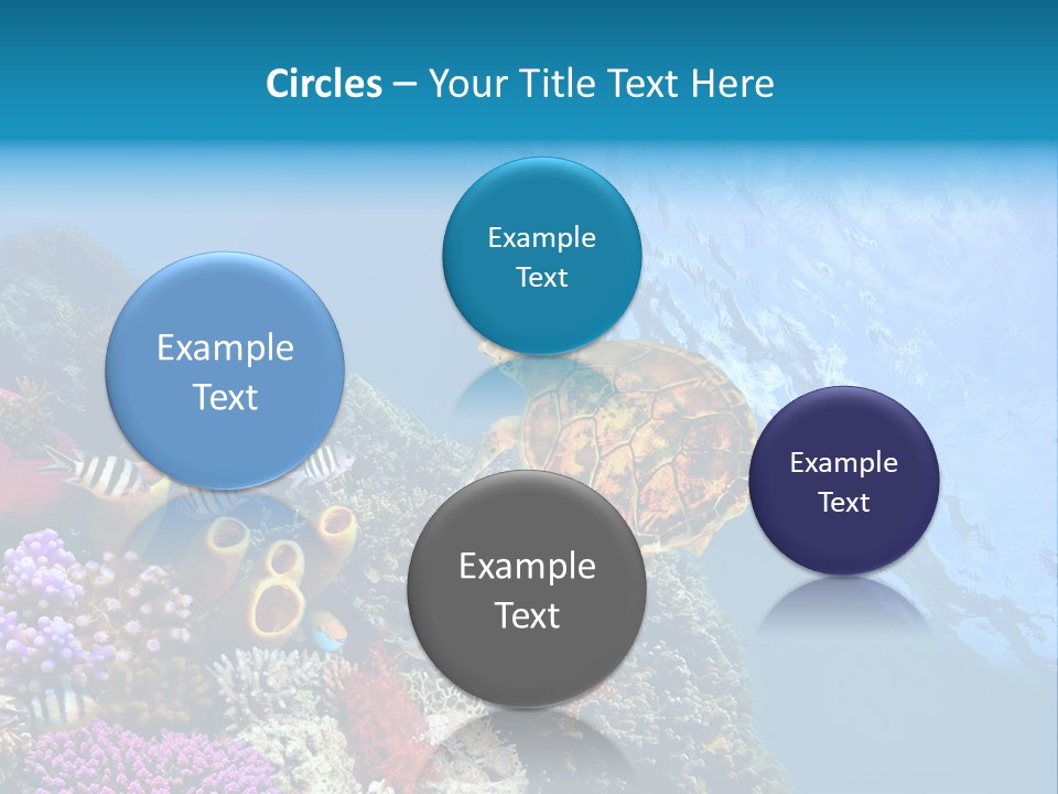 Coral Tropical Holiday PowerPoint Template