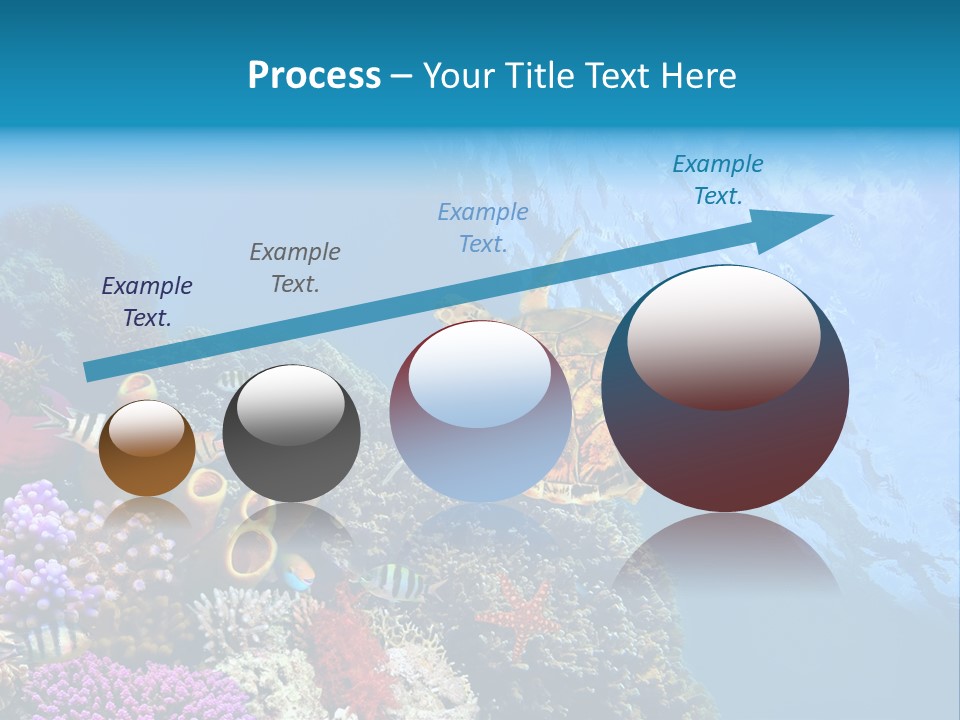 Coral Tropical Holiday PowerPoint Template