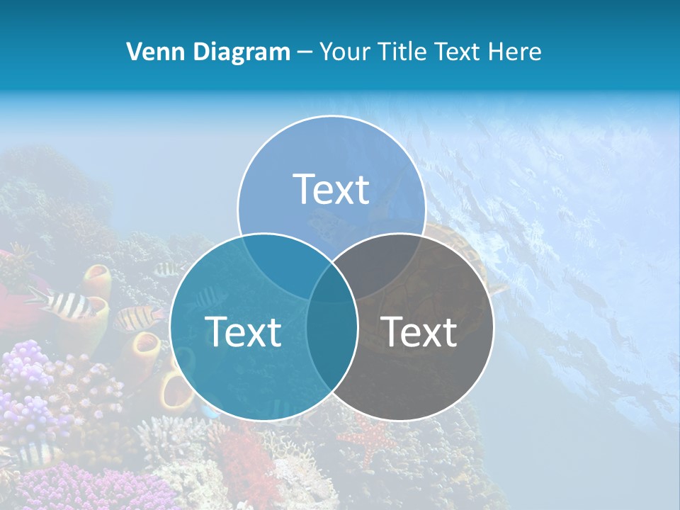 Coral Tropical Holiday PowerPoint Template