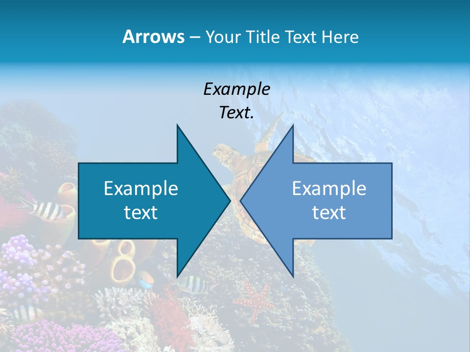 Coral Tropical Holiday PowerPoint Template