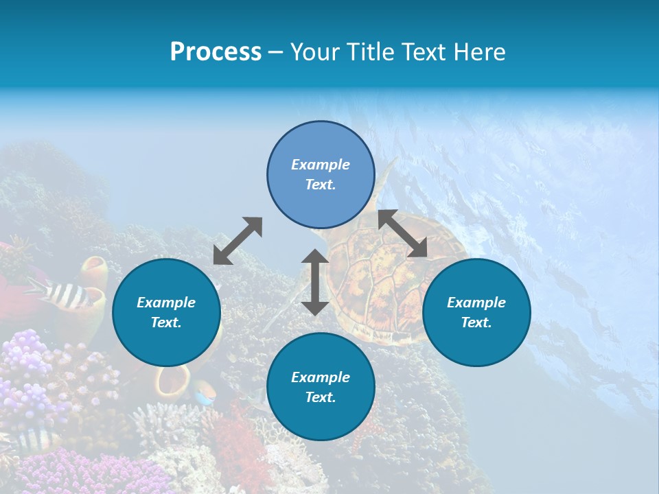 Coral Tropical Holiday PowerPoint Template