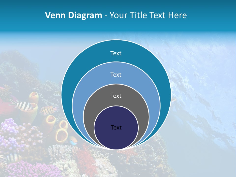 Coral Tropical Holiday PowerPoint Template