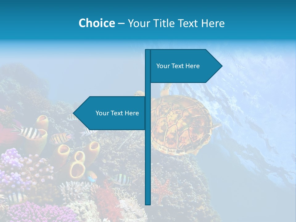 Coral Tropical Holiday PowerPoint Template