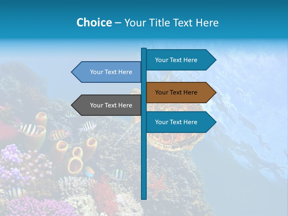 Coral Tropical Holiday PowerPoint Template