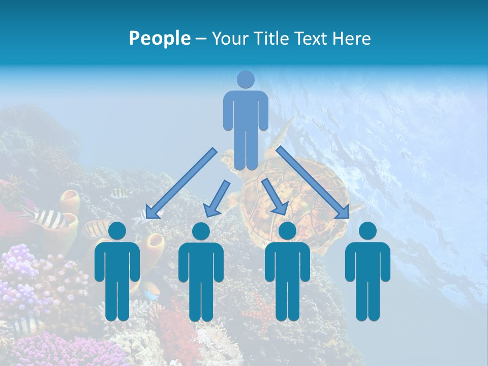 Coral Tropical Holiday PowerPoint Template