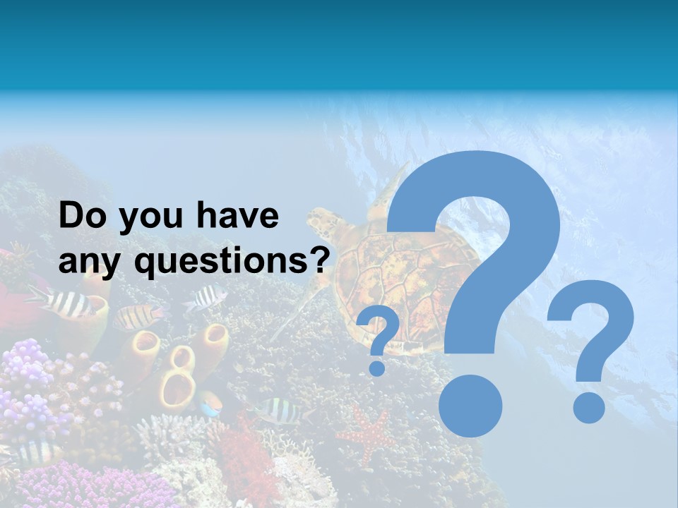 Coral Tropical Holiday PowerPoint Template