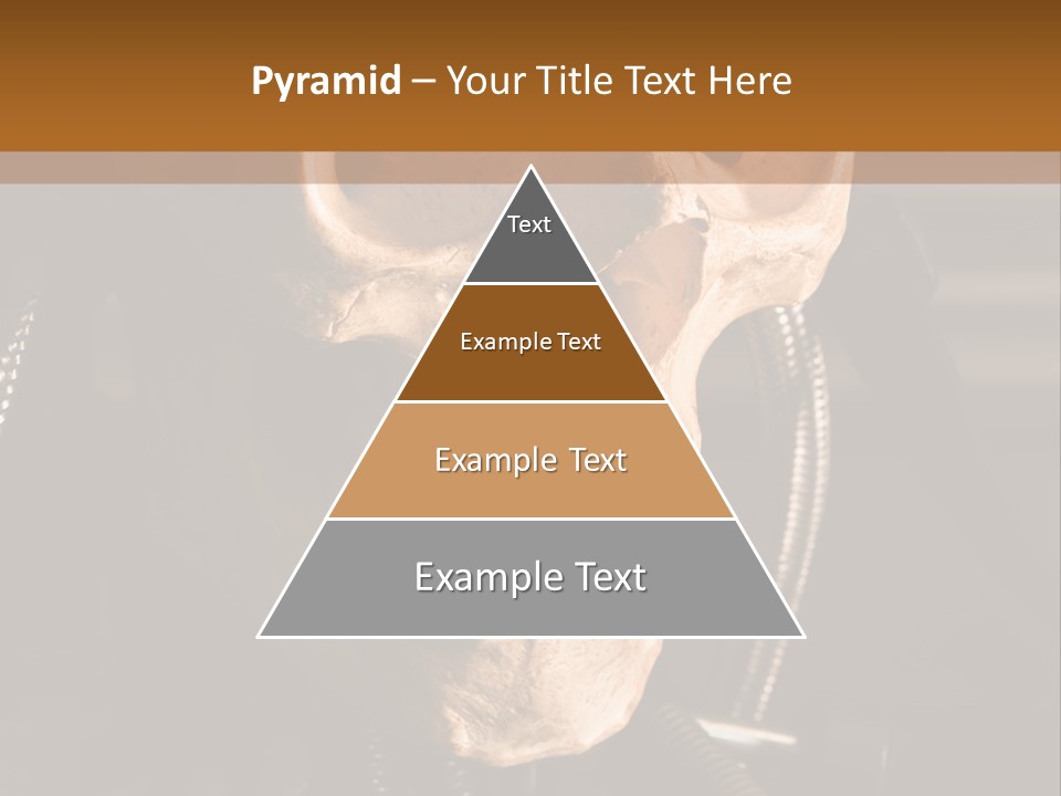 Skeleton Cyborg Death PowerPoint Template