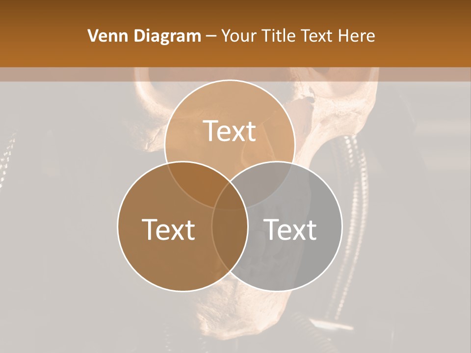Skeleton Cyborg Death PowerPoint Template