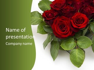 Plant Celebration Nature PowerPoint Template