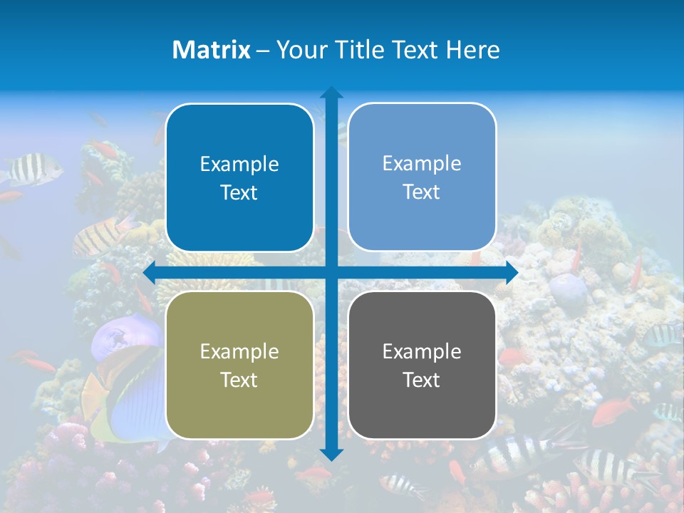 Deep Colorful Coral PowerPoint Template