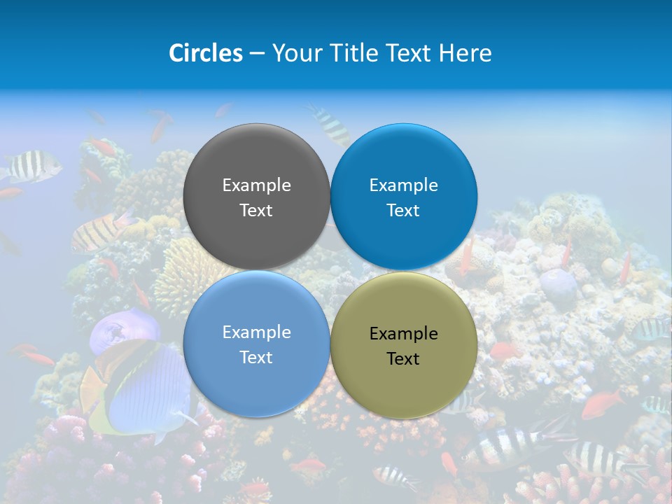 Deep Colorful Coral PowerPoint Template