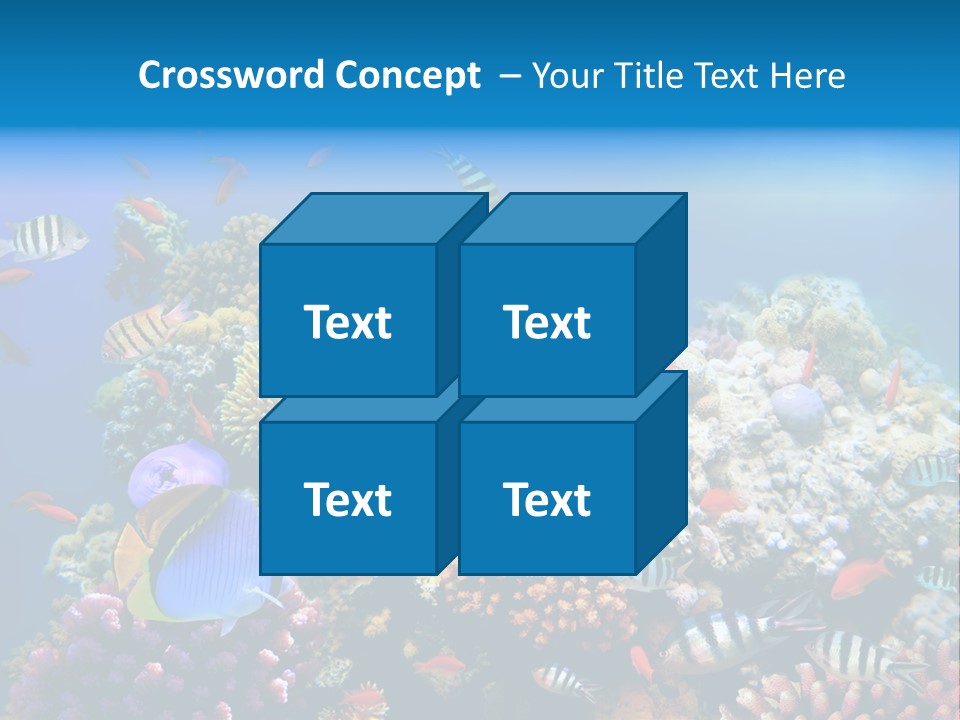 Deep Colorful Coral PowerPoint Template