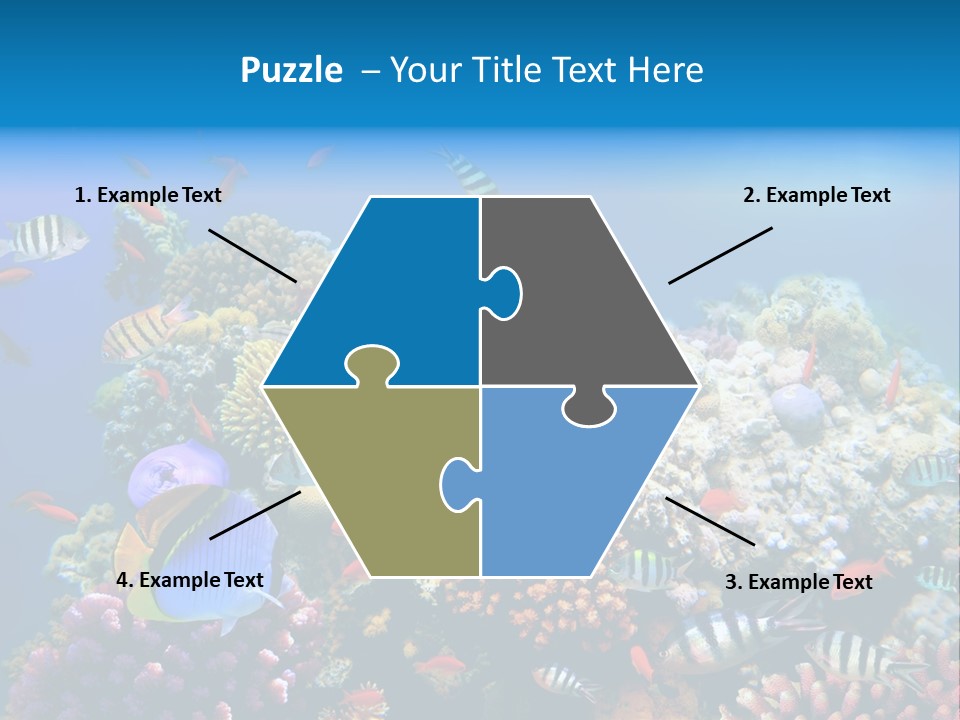 Deep Colorful Coral PowerPoint Template