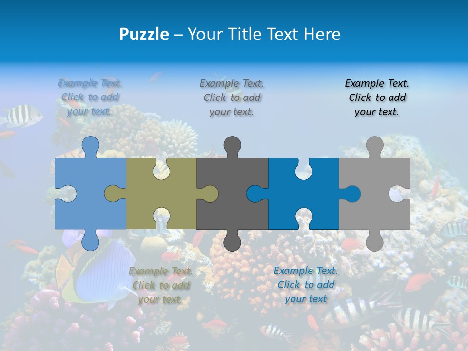 Deep Colorful Coral PowerPoint Template