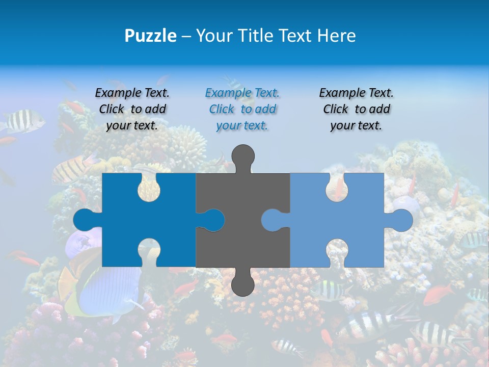 Deep Colorful Coral PowerPoint Template