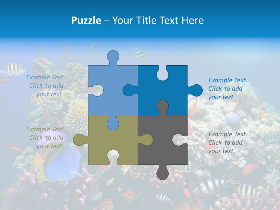 Deep Colorful Coral PowerPoint Template