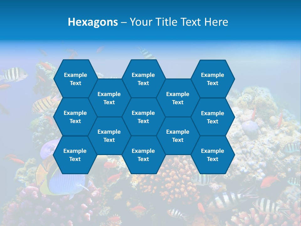 Deep Colorful Coral PowerPoint Template