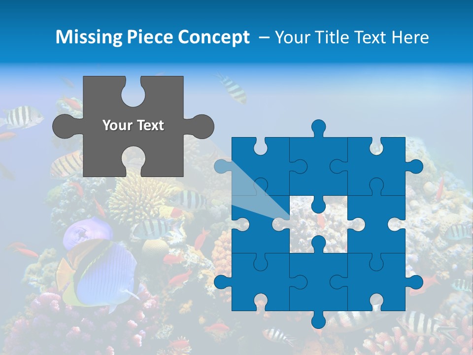 Deep Colorful Coral PowerPoint Template