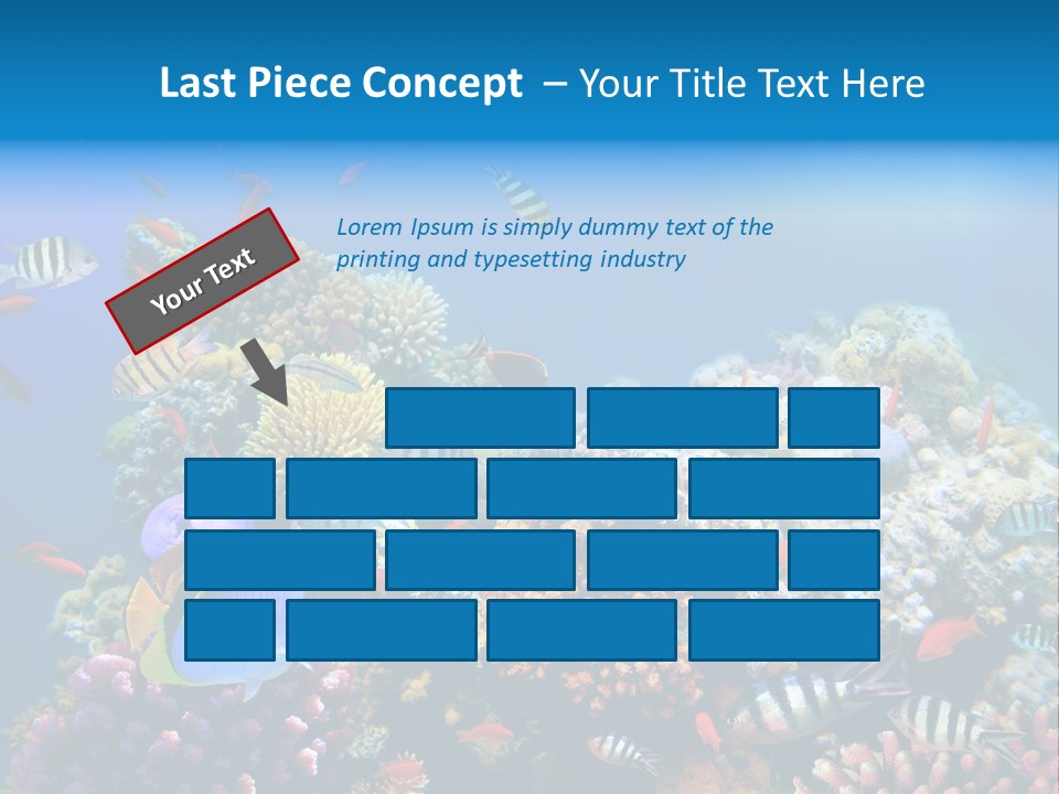 Deep Colorful Coral PowerPoint Template