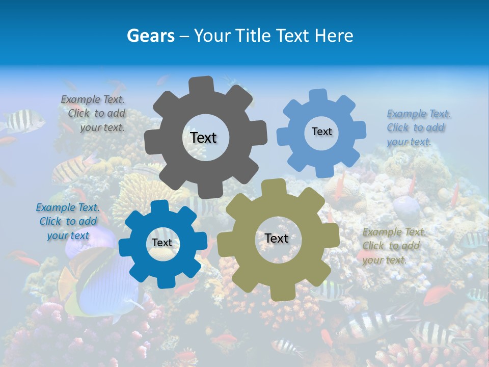 Deep Colorful Coral PowerPoint Template