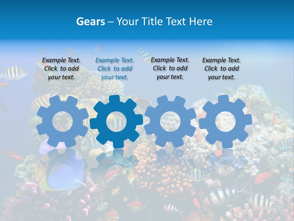 Deep Colorful Coral PowerPoint Template