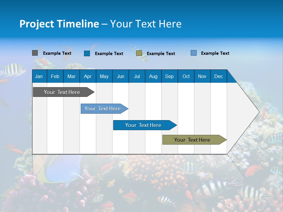 Deep Colorful Coral PowerPoint Template