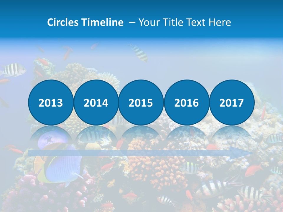 Deep Colorful Coral PowerPoint Template