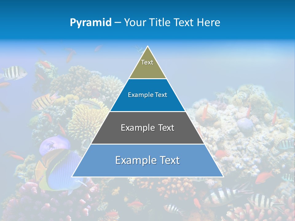 Deep Colorful Coral PowerPoint Template