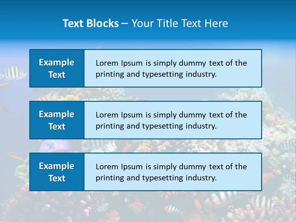 Deep Colorful Coral PowerPoint Template