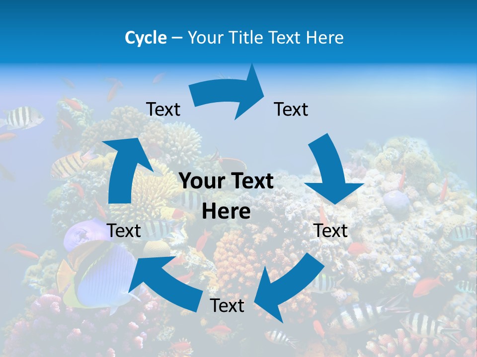 Deep Colorful Coral PowerPoint Template