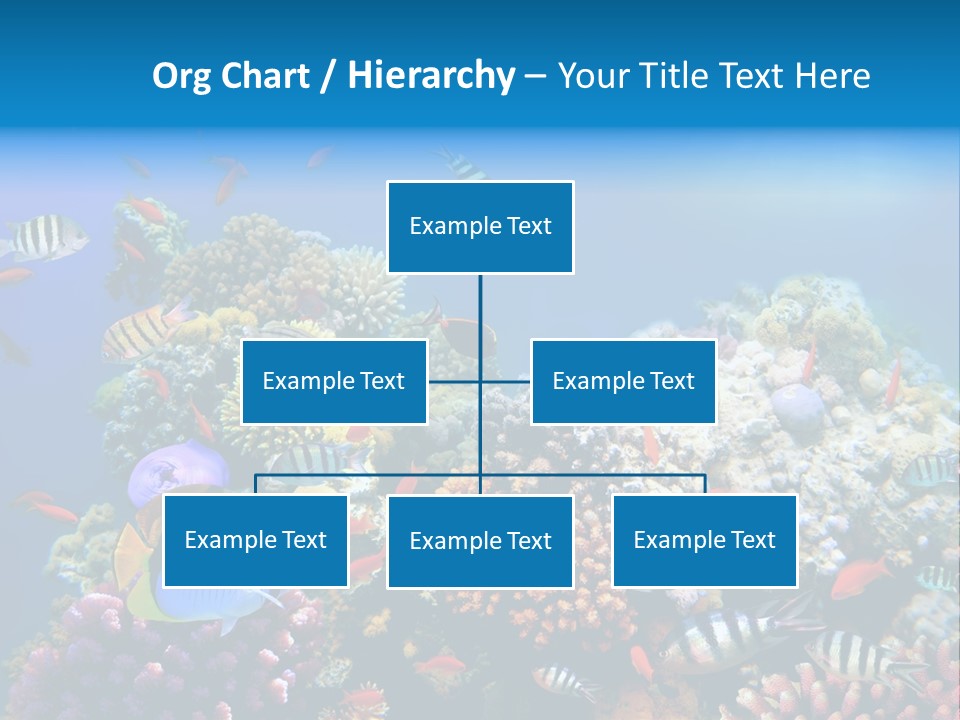 Deep Colorful Coral PowerPoint Template