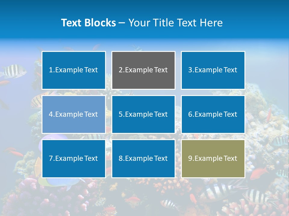 Deep Colorful Coral PowerPoint Template