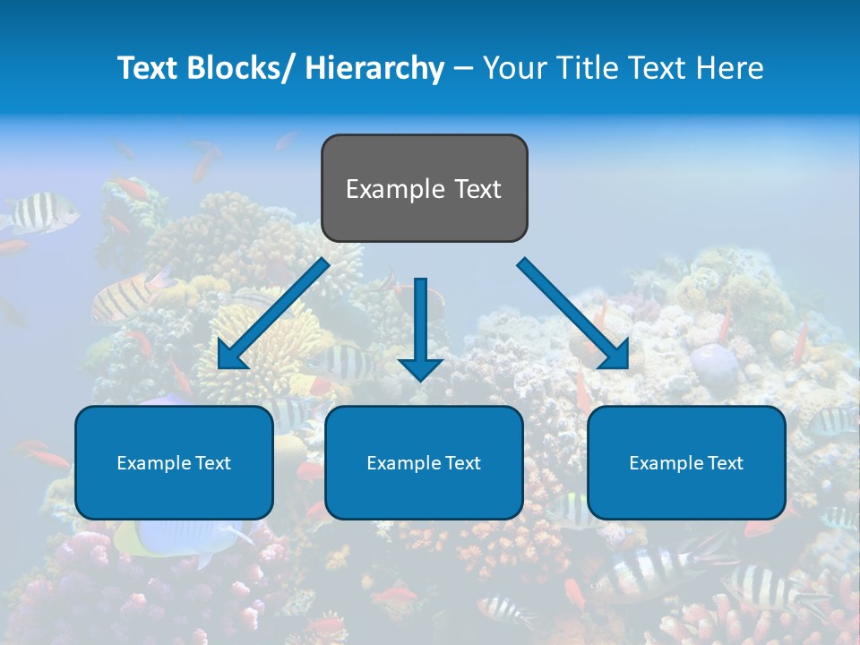 Deep Colorful Coral PowerPoint Template