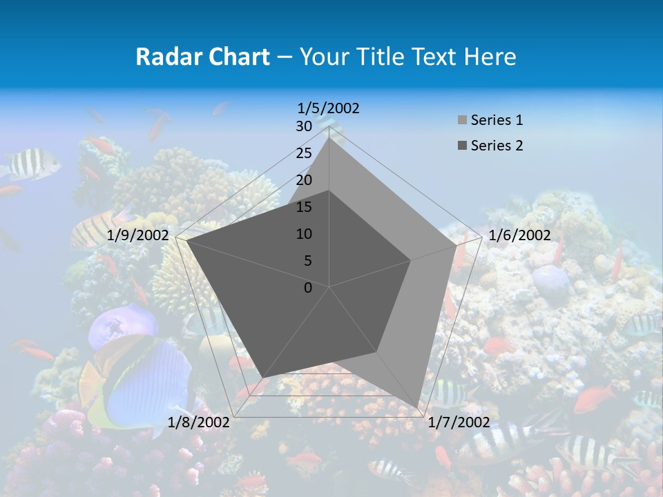 Deep Colorful Coral PowerPoint Template