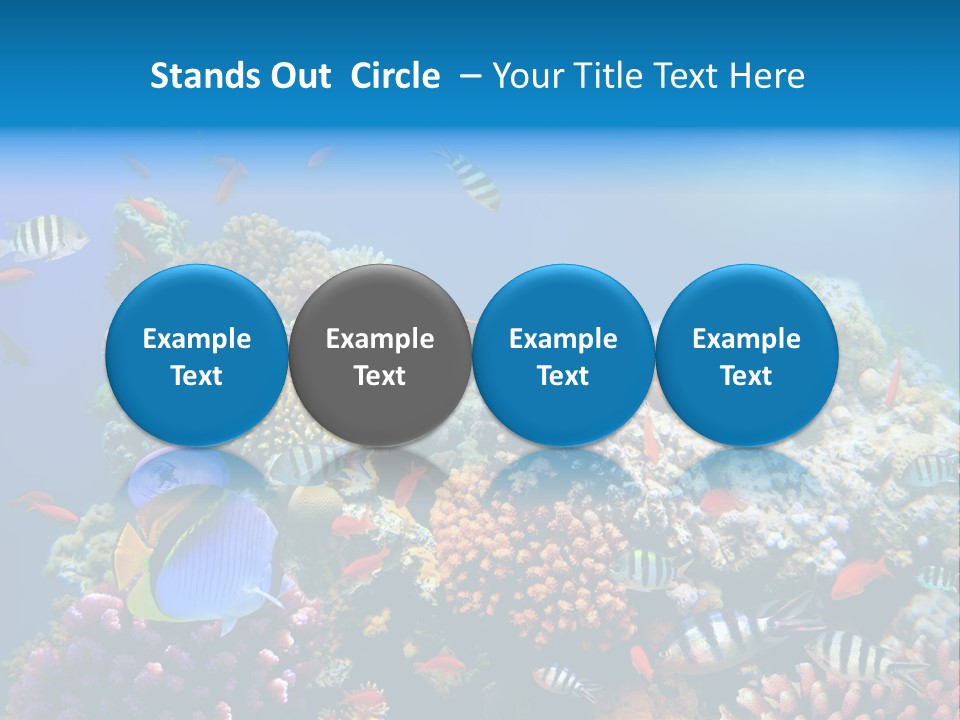 Deep Colorful Coral PowerPoint Template