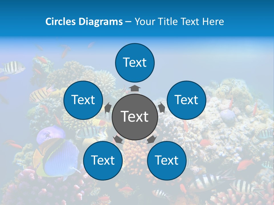 Deep Colorful Coral PowerPoint Template