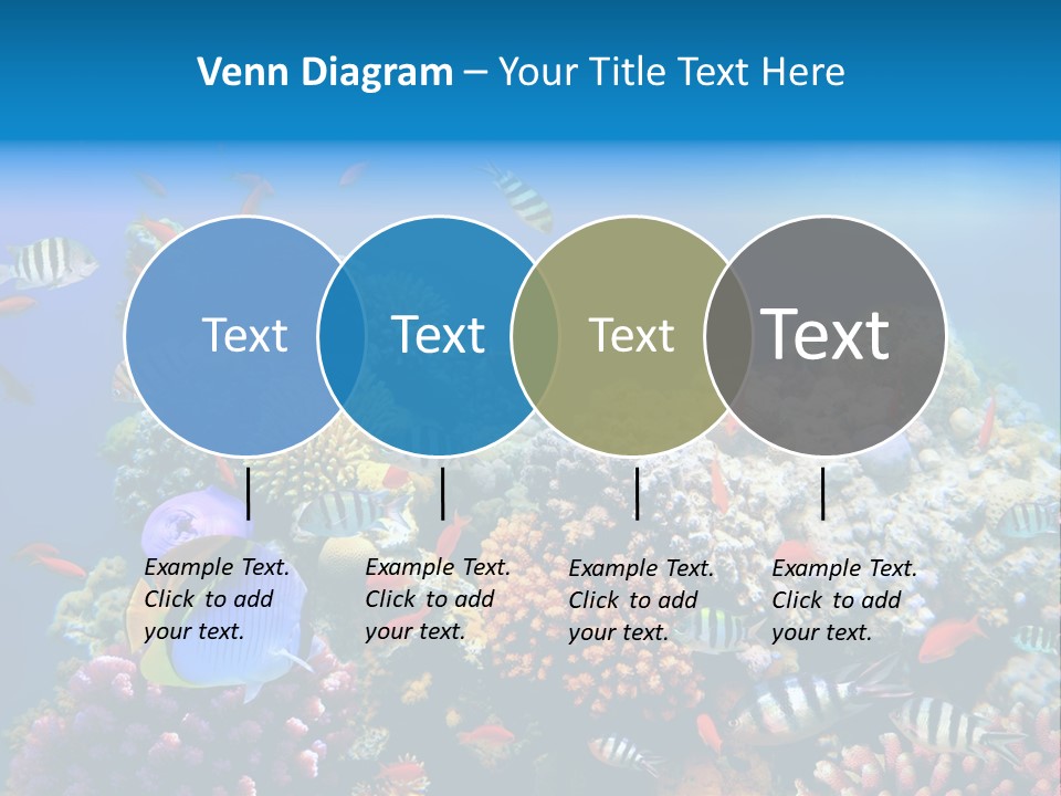 Deep Colorful Coral PowerPoint Template