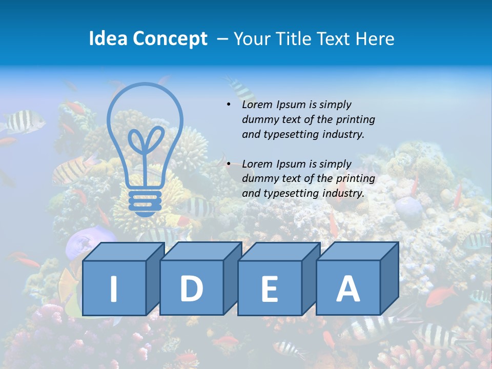 Deep Colorful Coral PowerPoint Template