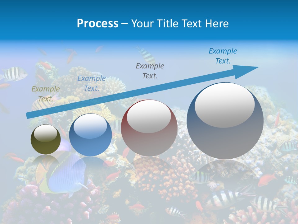 Deep Colorful Coral PowerPoint Template