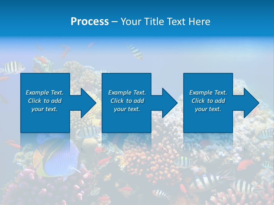 Deep Colorful Coral PowerPoint Template