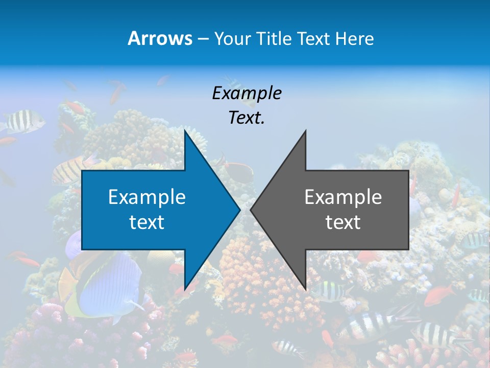 Deep Colorful Coral PowerPoint Template