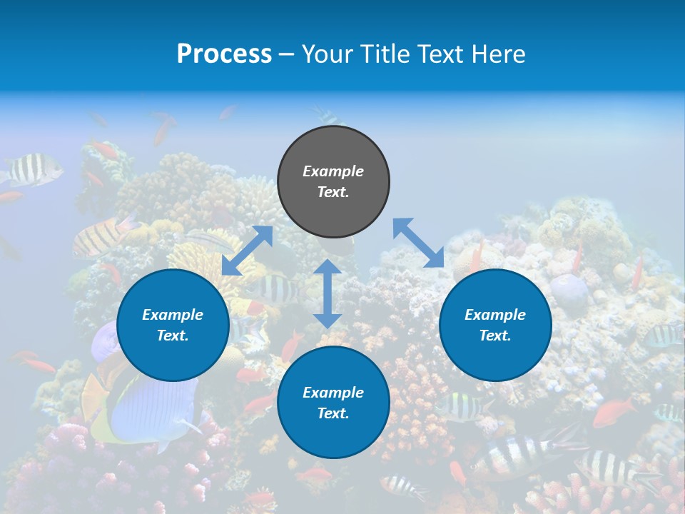 Deep Colorful Coral PowerPoint Template