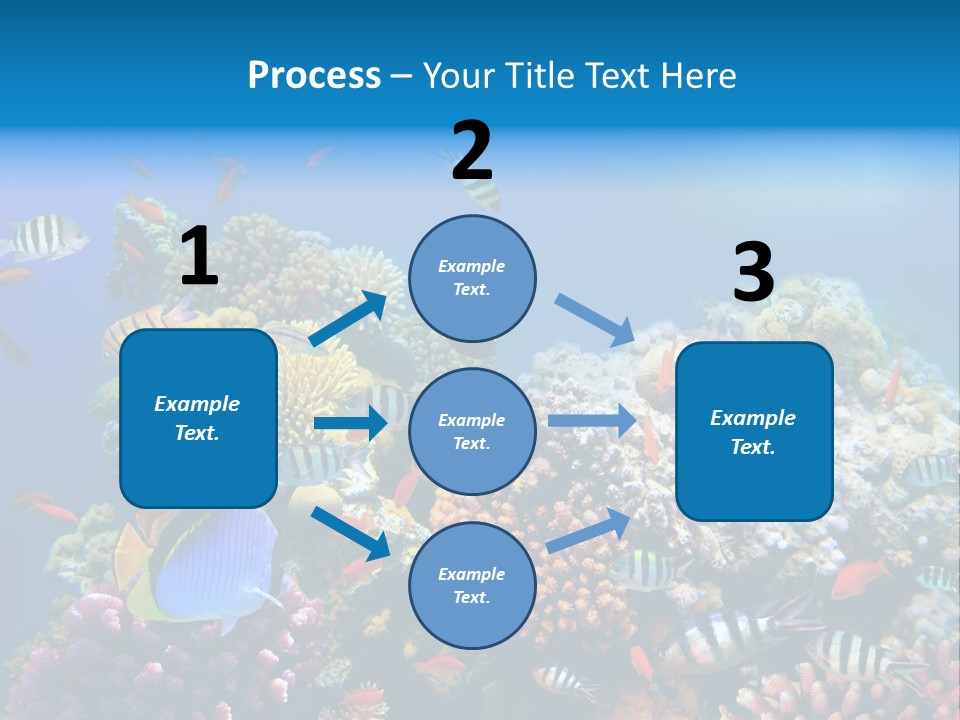 Deep Colorful Coral PowerPoint Template