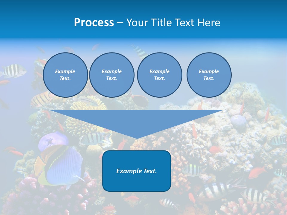 Deep Colorful Coral PowerPoint Template