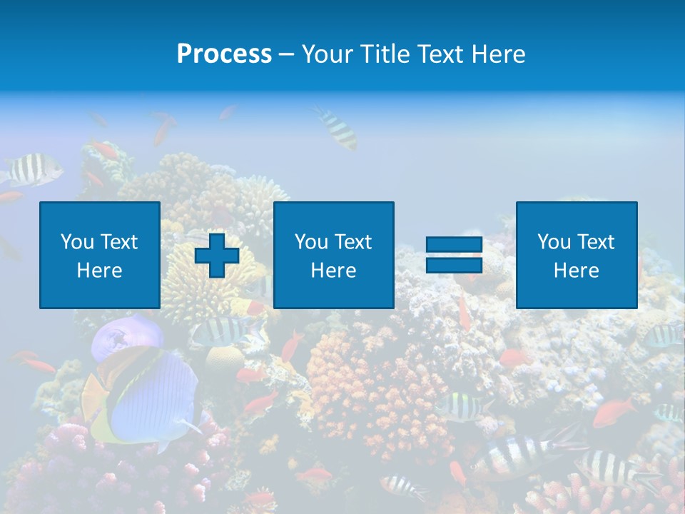 Deep Colorful Coral PowerPoint Template