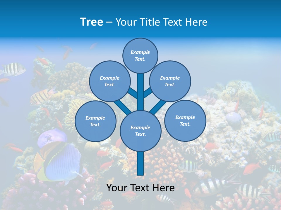 Deep Colorful Coral PowerPoint Template