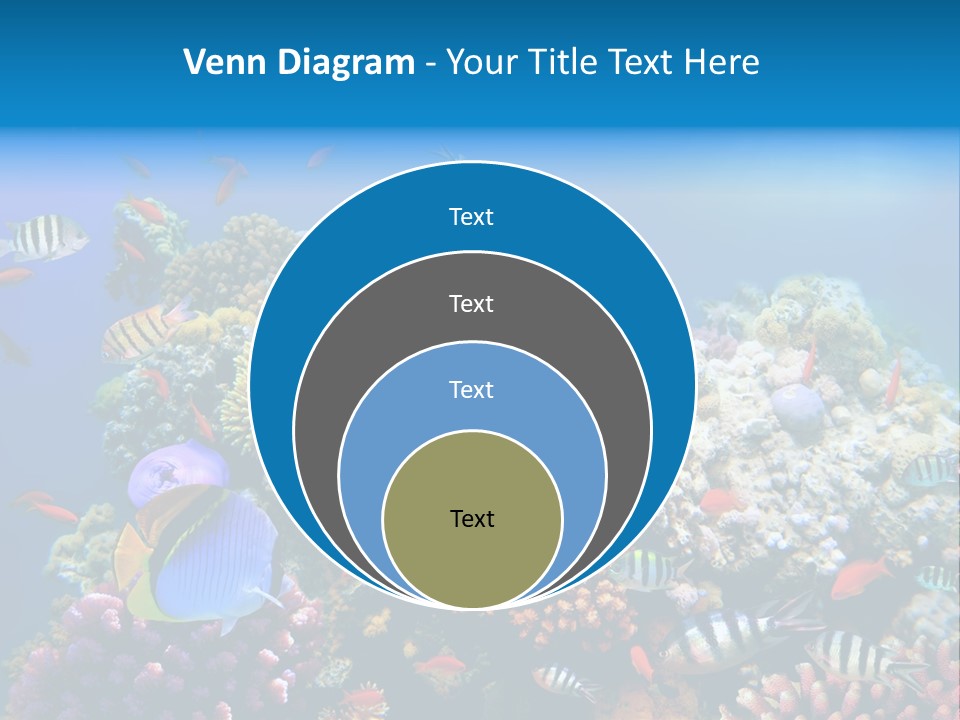 Deep Colorful Coral PowerPoint Template