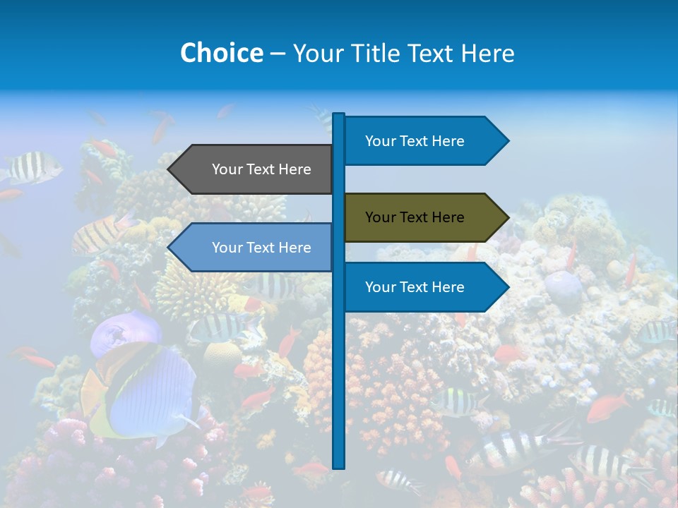 Deep Colorful Coral PowerPoint Template